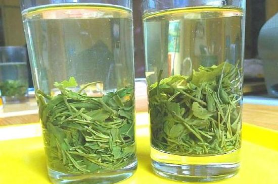 茶葉為什么不能亂送人，買茶葉一次送一盒還是兩盒