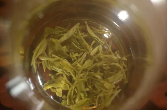 碧螺春正確泡法和飲用，碧螺春茶泡茶方法與溫度