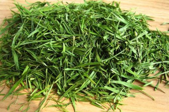 哪類人不適合喝石竹茶，石竹茶的功效與禁忌