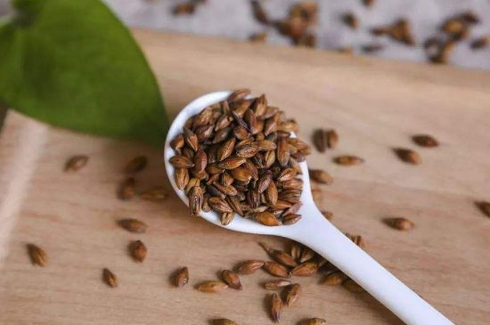 大麥茶上火嗎，喝大麥茶會(huì)不會(huì)上火？