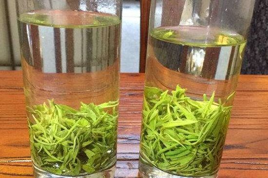 黃金茶的功效及禁忌癥，黃金茶有什么副作用嗎？