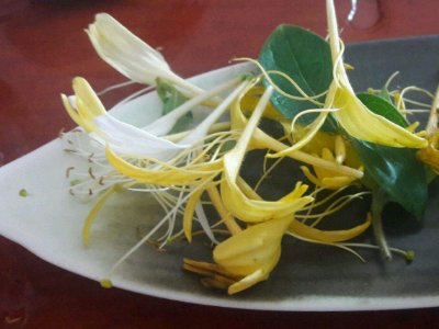 喝茶治口臭嗎，什么茶治口臭好？