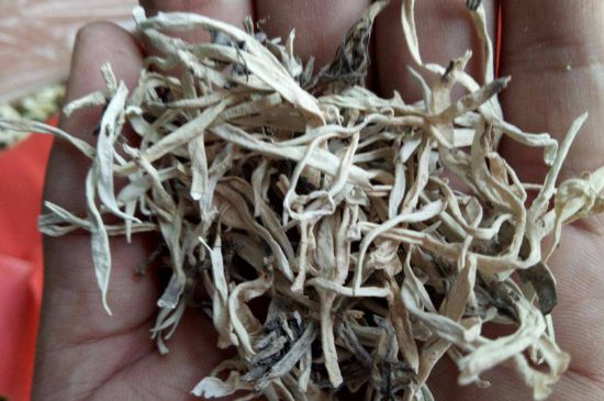 麗江雪茶的禁忌，白雪茶的副作用