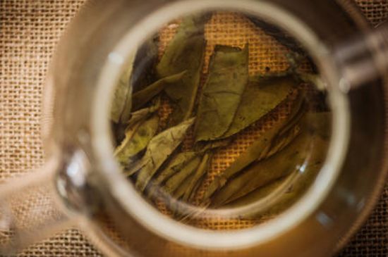 苦丁茶副作用，苦丁可以經(jīng)常喝嗎？