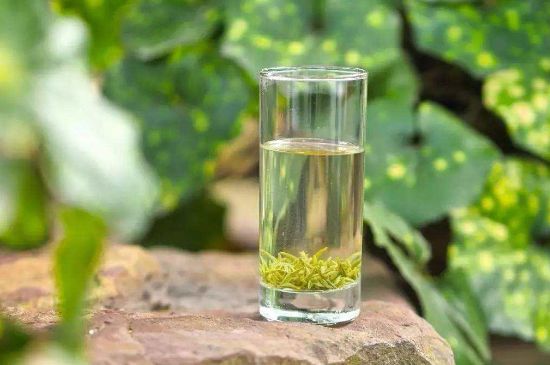 碧螺春沖泡三要素，碧螺春怎么泡才正確？