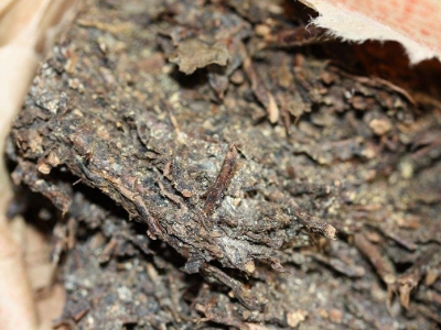 長(zhǎng)期飲用黑茶的副作用，黑茶的功效與作用