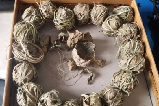 鷓鴣茶用拆開泡嗎，鷓鴣茶要解開繩子泡嗎