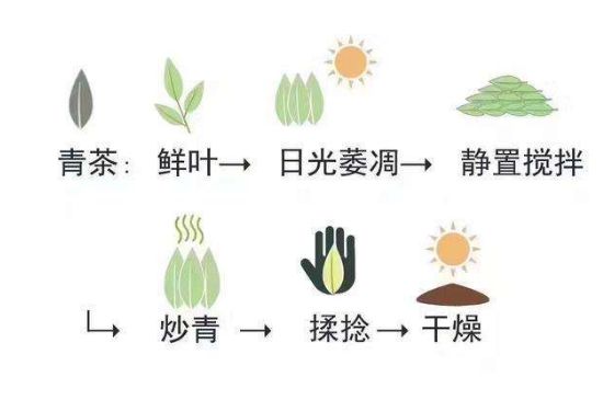 茶葉名稱大全和圖片，茶葉名字大全三四個(gè)字！