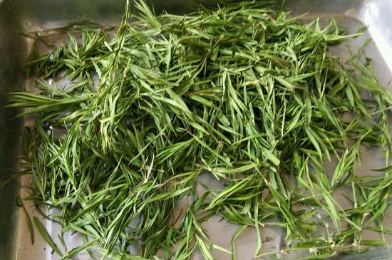 哪類人不適合喝石竹茶，石竹茶的功效與禁忌