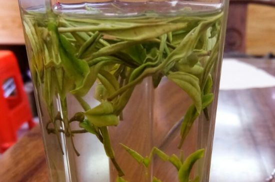 云霧綠茶的功效及禁忌，哪些人不適合喝云霧茶