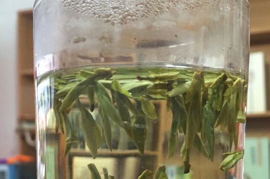 煮茶器能煮龍井嗎，龍井茶能不能用煮茶器圖