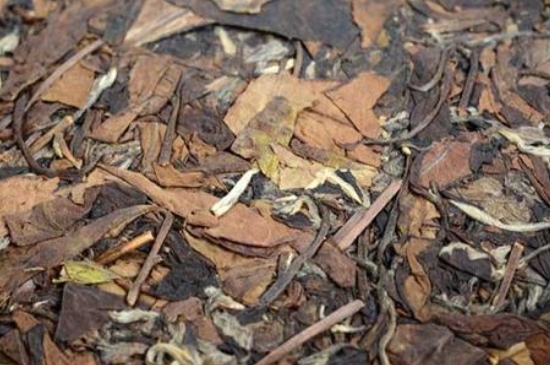 福鼎白茶能長時間悶泡嗎，老白茶可以悶著喝嗎？