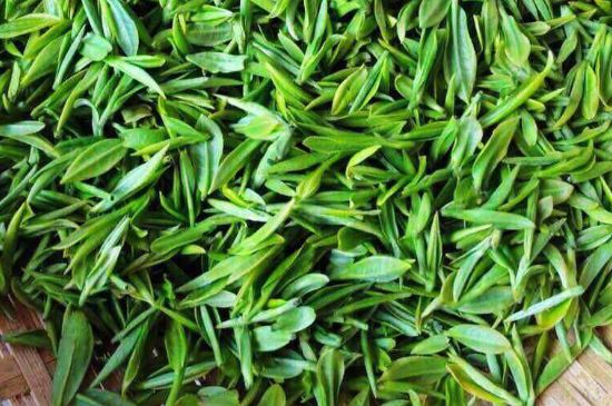 云霧綠茶的功效及禁忌，哪些人不適合喝云霧茶