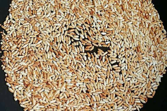 玄米茶是紅茶嗎，玄米茶怎么喝