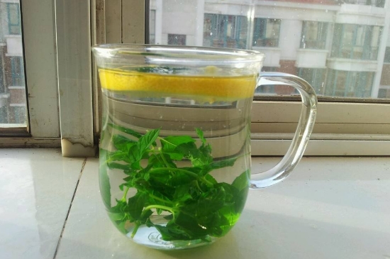 薄荷茶的功效與作用，喝薄荷茶有什么好處？