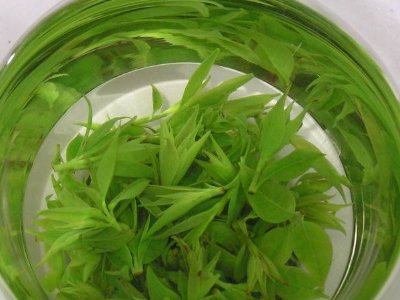 茶葉具有什么功效，茶葉的功效與作用大全