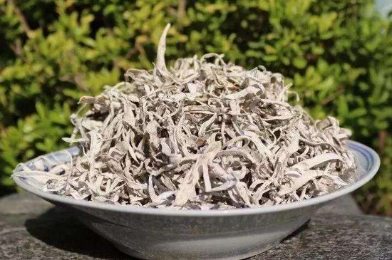 麗江雪茶的功效與作用，白雪茶有什么功效和作用