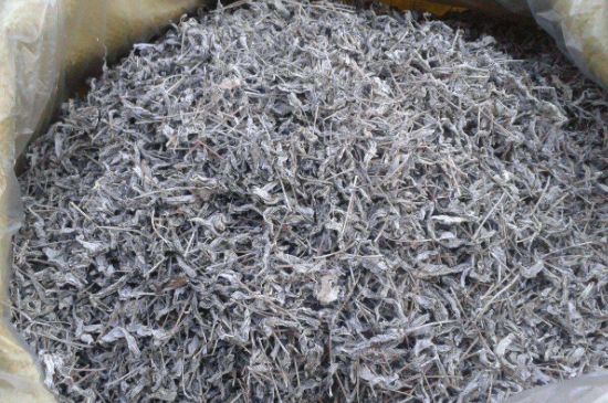 怎樣辨別莓茶發(fā)霉了，莓茶發(fā)霉和白霜的區(qū)別