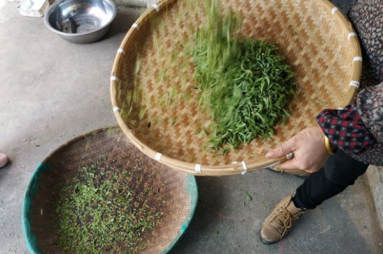 炒青茶為什么便宜，炒青綠茶好喝嗎？