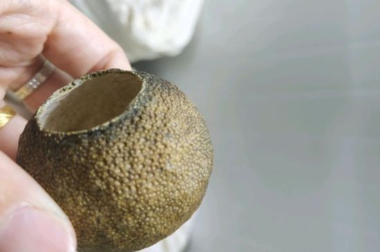 小青柑多少錢一盒，新會(huì)小青柑普茶價(jià)格一斤多少