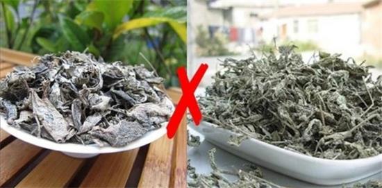 張家界茅巖莓茶與藤茶是同一種茶嗎，藤茶跟莓茶一不一樣？