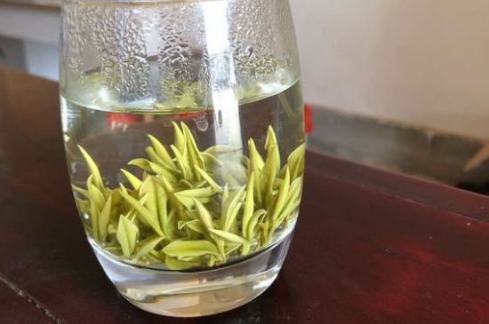 安吉白茶耐寒嗎，白茶適合放冰箱嗎