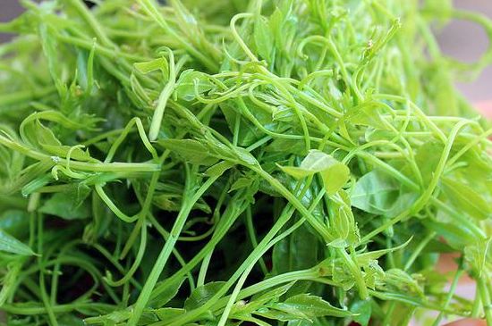 茅巖莓茶別名是什么，莓茶別名叫藤茶嗎？