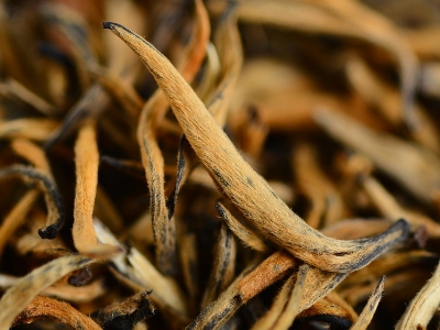 怎么知道什么茶葉適合自己，怎么判斷自己適合喝什么茶？