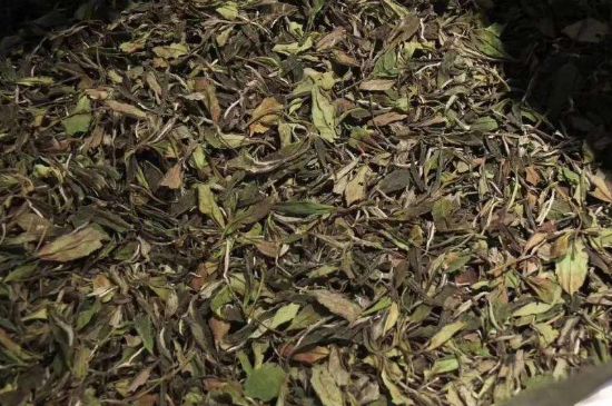 陳茶還是新茶好，茶葉是新茶好喝還是陳茶好喝