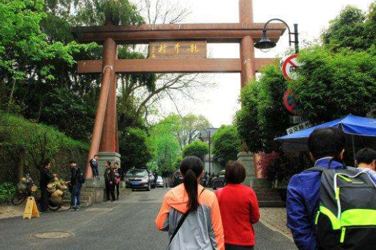 杭州買龍井茶攻略，怎么買到正宗的西湖龍井？