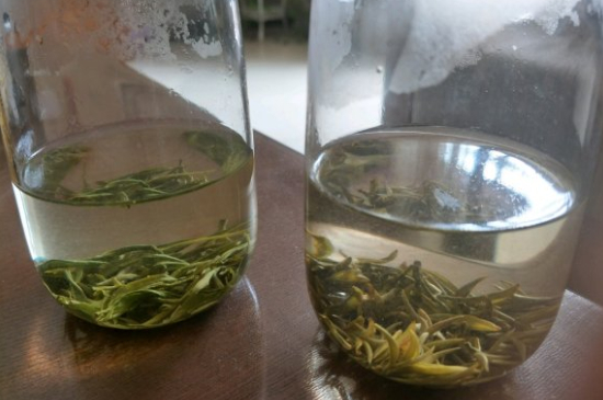 真假碧螺春泡水后區(qū)別，蘇州洞庭碧螺春怎樣鑒別好壞？