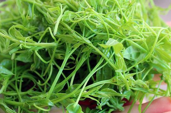 茅巖莓茶保質(zhì)期有多久，張家界莓茶存放時間長了還能喝嗎？