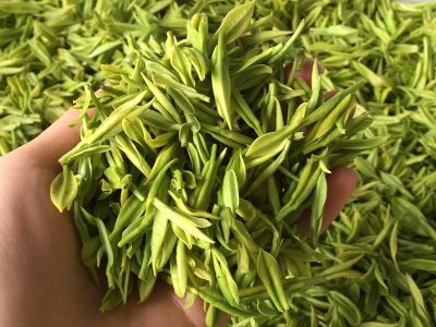 白茶品質(zhì)如何區(qū)分，白茶的優(yōu)劣質(zhì)量辨別方法