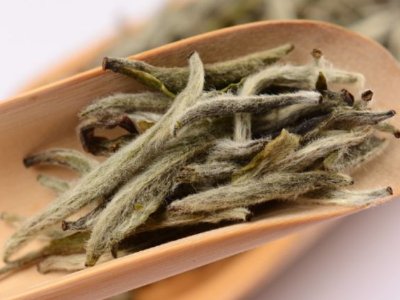 白毫銀針放幾年最好，白毫銀針什么年份最好？