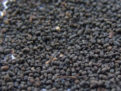 圓形顆粒狀茶是什么茶，像飼料一樣一粒粒的是什么茶？