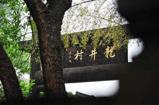 杭州買龍井茶攻略，怎么買到正宗的西湖龍井？