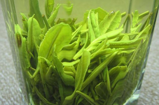 哪種茶葉可以放冰箱，哪些茶不能放冰箱？