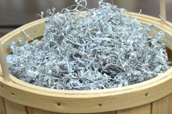 張家界莓茶真假對比，野生莓茶的鑒別方法