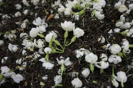 茉莉龍珠怎么做的，茉莉龍珠的制作工藝