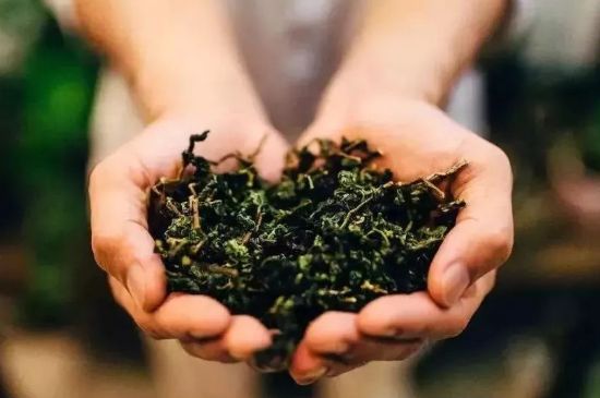 茶葉怎么炒制才香，怎樣炒茶葉更香？