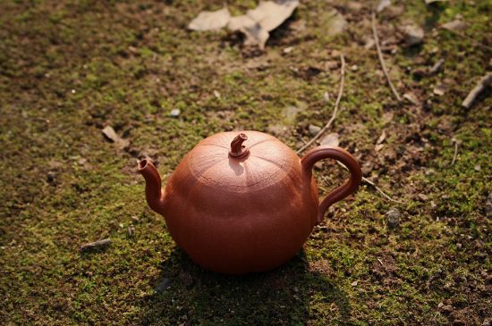 紫砂壺泡什么茶最佳，紫砂壺一般泡什么茶？