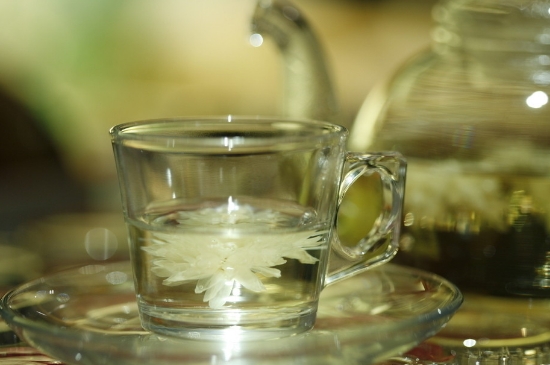 菊花茶天天喝行嗎，每天喝菊花泡茶喝好嗎？