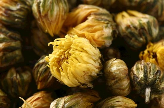 蒲公英搭配大全，蒲公英泡水喝的8種搭配