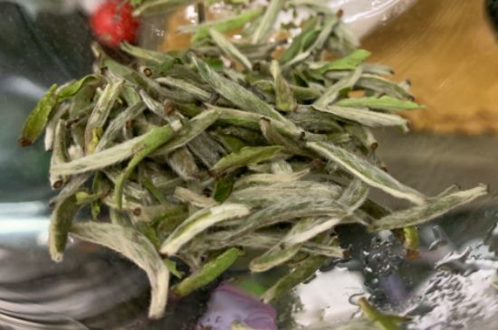 蒸汽煮茶器適合什么茶，蒸汽煮茶器適合用綠茶嗎？