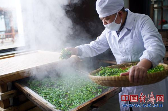 炒青綠茶與綠茶的區(qū)別，烘青和炒青哪個好喝？