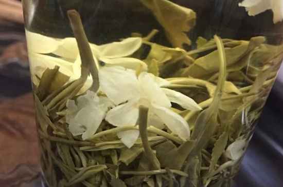 女孩喝茉莉茶的好處，茉莉茶葉的功效與禁忌