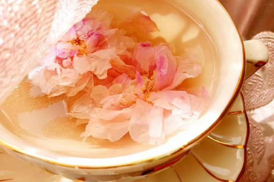玫瑰花茶一周喝幾次，玫瑰花茶可以天天喝嗎？