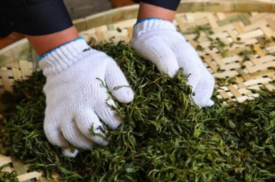 綠茶加工工藝流程圖，綠茶的加工制作包含哪幾個步驟？
