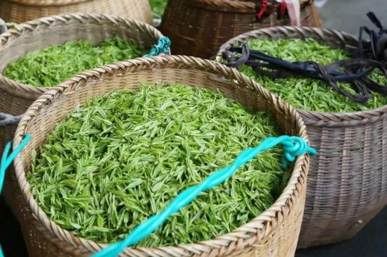 茶葉怎么炒制才香，怎樣炒茶葉更香？