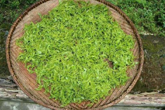 茅巖莓茶加工工藝，莓茶的工藝制作過程